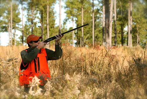 quail hunting pants